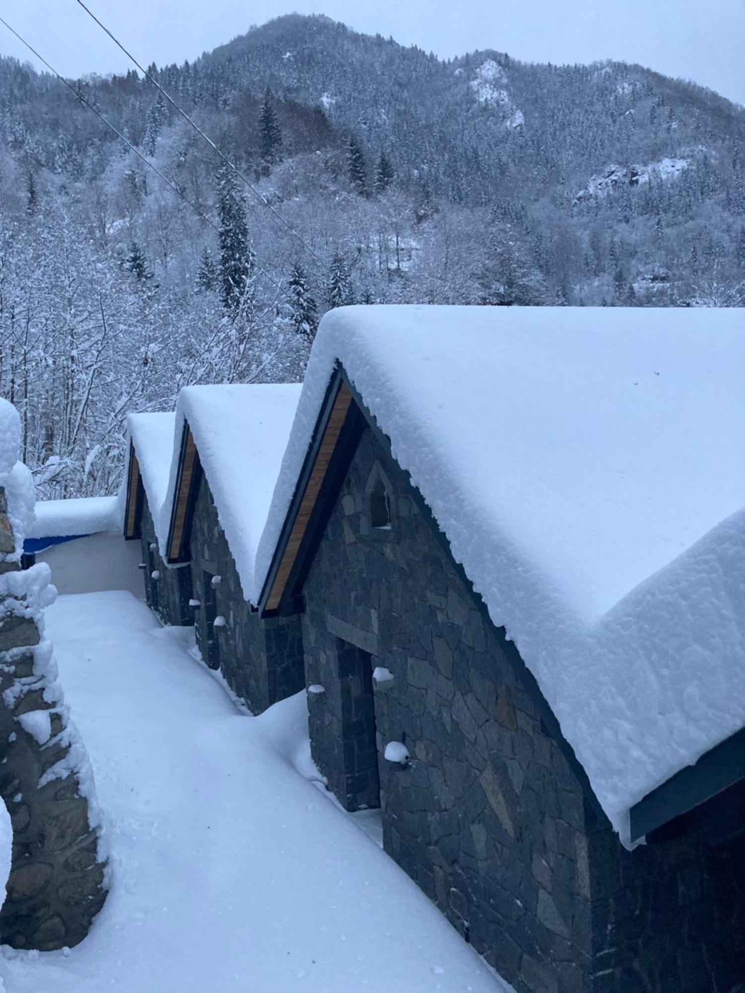 Ayder Vanak Stone Suites Ayder Yaylasi Exterior foto